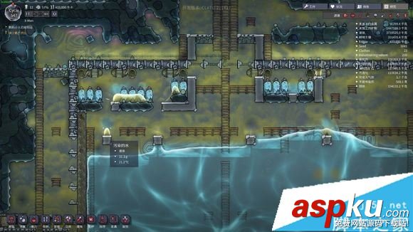 缺氧,溫度,水池,巨型,冷卻