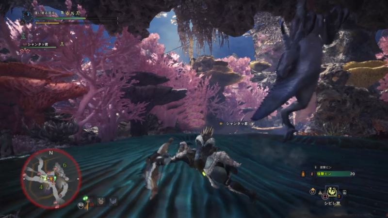 怪物獵人世界,眩鳥