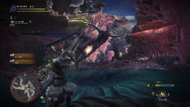 怪物獵人世界,眩鳥