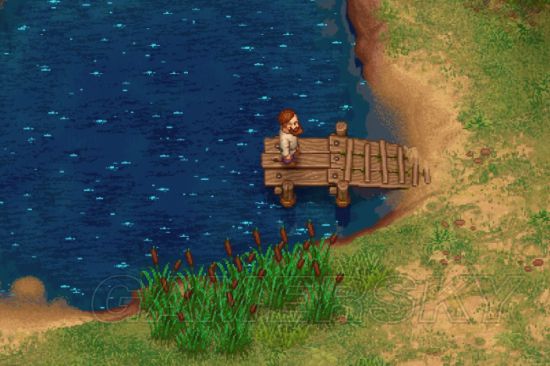 守墓人,釣魚地點,魚類,釣餌,釣法