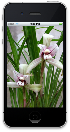 iOS開發中UIImageView控件的常用操作整理 iOS開發中UIImageView控件的常用操作整理