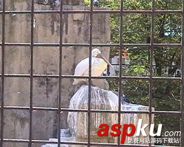 數(shù)碼攝像中級技巧-對焦技術(shù) 數(shù)碼攝像,對焦,技巧