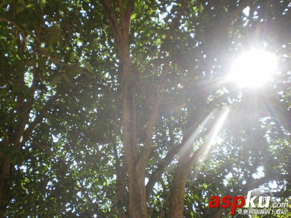 辦公又到難捱時 噴墨打印機在夏季保養的一些小技巧 噴墨打印機,夏季保養
