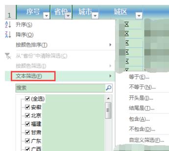 Excel中2013版進行文本篩選的操作技巧 Excel中2013版進行文本篩選的操作步驟