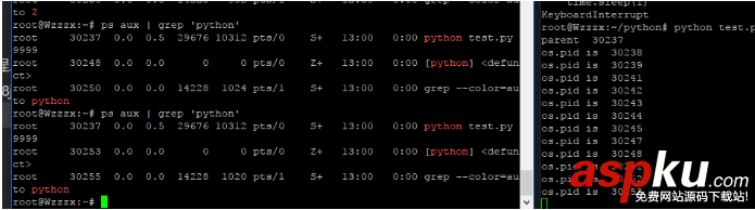 python清理子進程機制剖析 python,子進程,進程