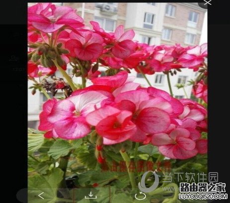 微信網頁版把手機圖片傳輸到電腦上