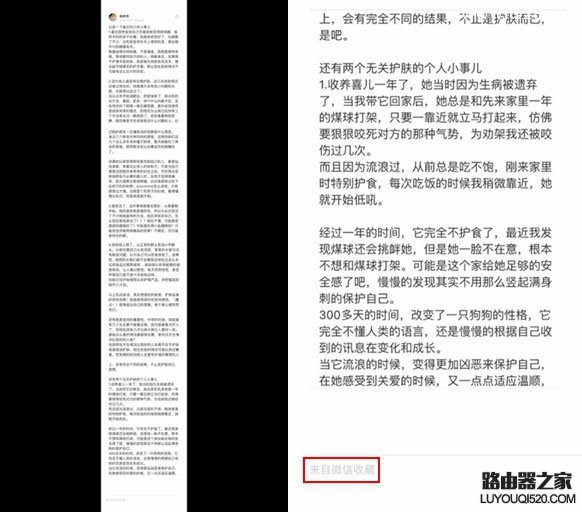 微信長截圖教程 微信實現(xiàn)長截圖方法