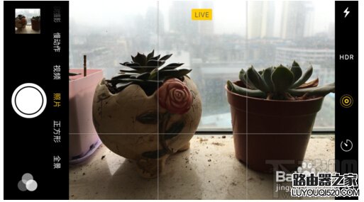 iPhone6s Live Photos怎么拍？蘋果Live Photos怎么用