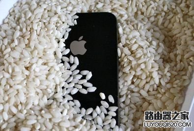 iphone6s掉水里怎么辦？iphone6s掉入水中的處理方法