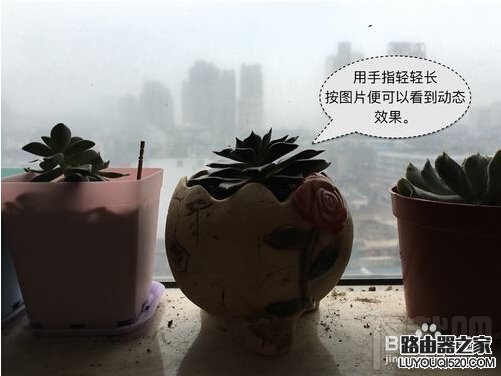 iPhone6s Live Photos怎么拍？蘋果Live Photos怎么用