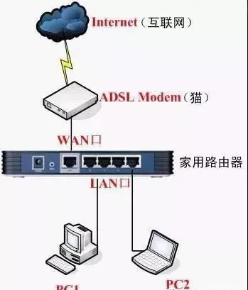 網線、貓和路由器是怎么連接的？