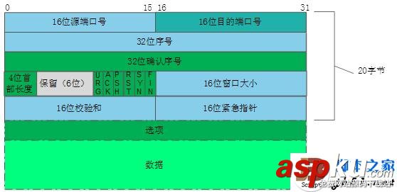 TCP協(xié)議