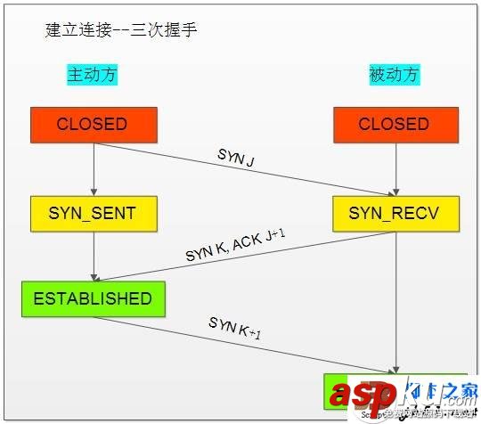 TCP協(xié)議