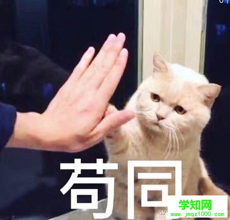 微信圖片_20170721153817
