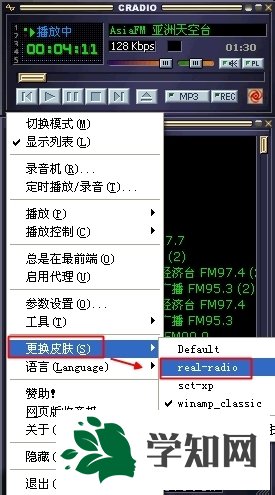 皮膚位置和安裝步驟 皮膚位置和安裝步驟