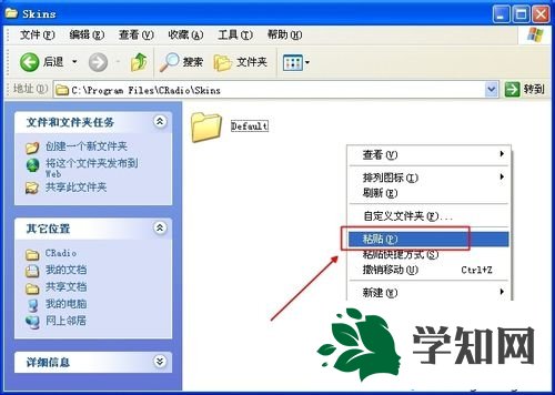 皮膚位置和安裝步驟 皮膚位置和安裝步驟