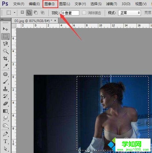 xp系統下怎樣使用PS給圖片局部調亮