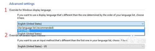 Windows10系統中文版變成英文版的解決步驟4