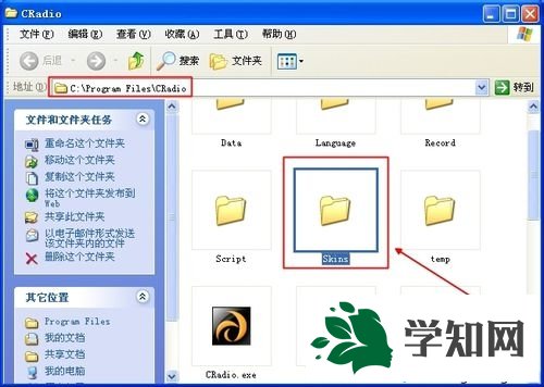 皮膚位置和安裝步驟 皮膚位置和安裝步驟