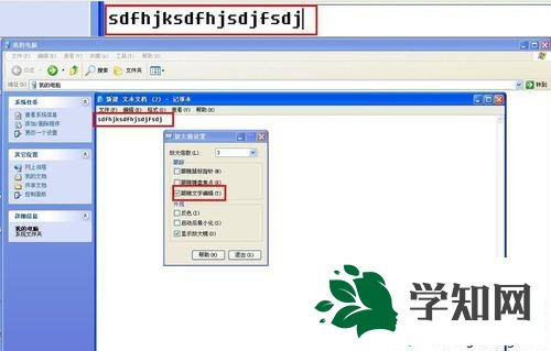 XP系統放大鏡功能的使用步驟5 XP系統放大鏡功能的使用步驟5