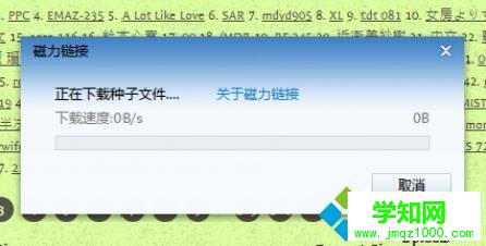 torrentkitty怎么打開？電腦打開torrentkitty的方法