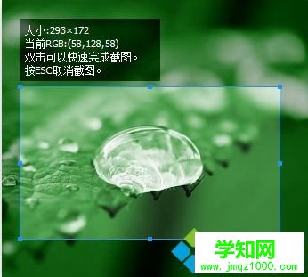 電腦使用哪款截圖軟件好？截圖軟件大全介紹