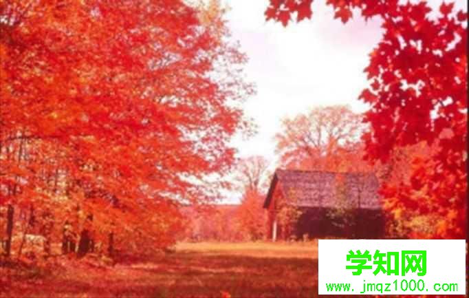 windows10系統(tǒng)下怎樣讓圖片放大后不模糊