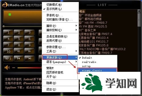 皮膚位置和安裝步驟 皮膚位置和安裝步驟