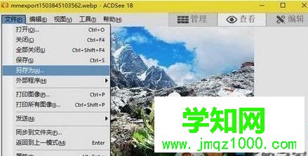 win10將webp轉換為jpg格式圖片的兩種方法