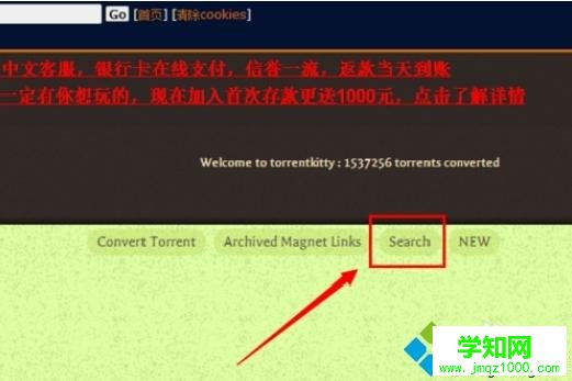 torrentkitty怎么打開？電腦打開torrentkitty的方法