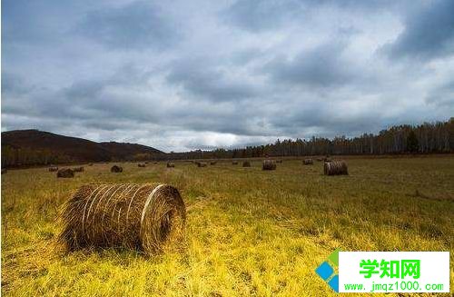 Win10如何打開RAW照片?win10直接打開RAW照片的方法