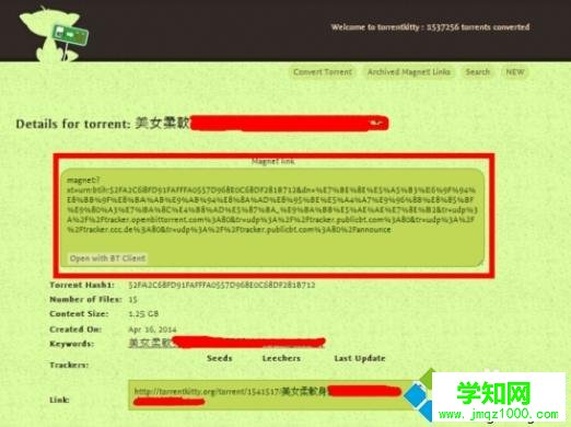 torrentkitty怎么打開？電腦打開torrentkitty的方法