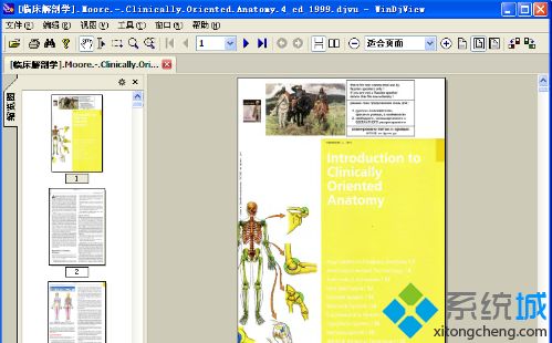 winxp系統打開djvu文件的方法 winxp系統打開djvu文件的方法