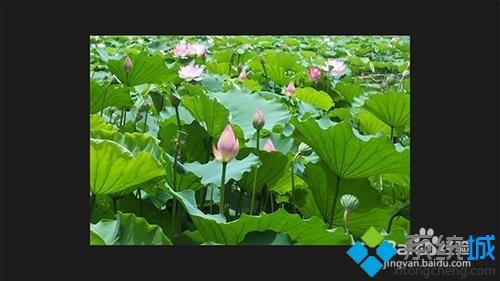 win10系統用ACDSee看圖軟件快速瀏覽管理圖片文件夾的方法 win10系統用ACDSee看圖軟件快速瀏覽管理圖片文件夾的方法