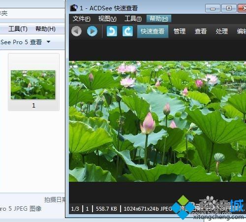 win10系統用ACDSee看圖軟件快速瀏覽管理圖片文件夾的方法 win10系統用ACDSee看圖軟件快速瀏覽管理圖片文件夾的方法