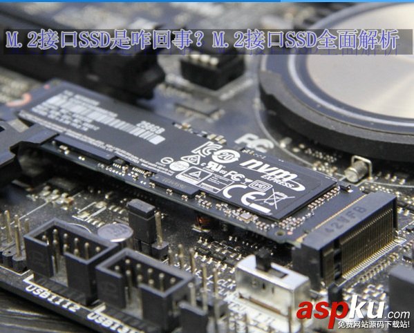 M.2接口的SSD,M.2接口SSD,M.2接口SSD類型,M.2接口