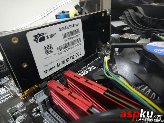 太陽花,SSD,測試