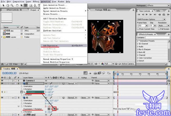 用AE給視頻合成飛舞的蝴蝶 武林網