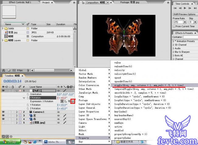 用AE給視頻合成飛舞的蝴蝶 