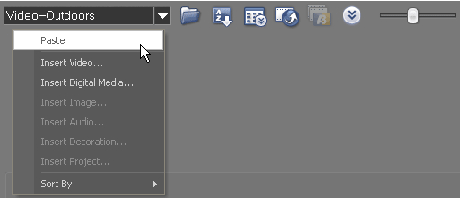 會聲會影使用庫創(chuàng)建者管理項目