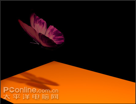 After Effects制作蝴蝶飛舞動畫 飛特網 AE實例教程