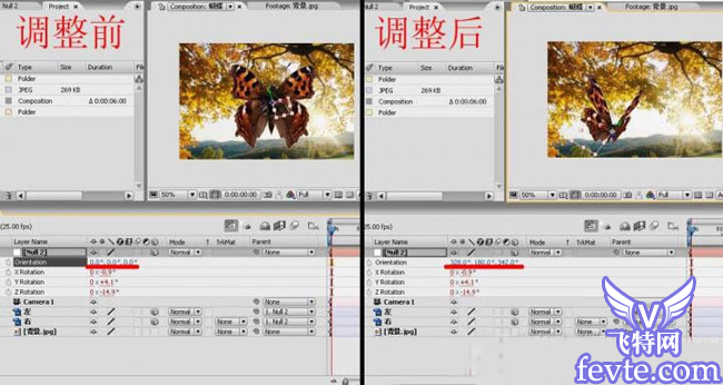 用AE給視頻合成飛舞的蝴蝶 飛特網 AE實例額教程