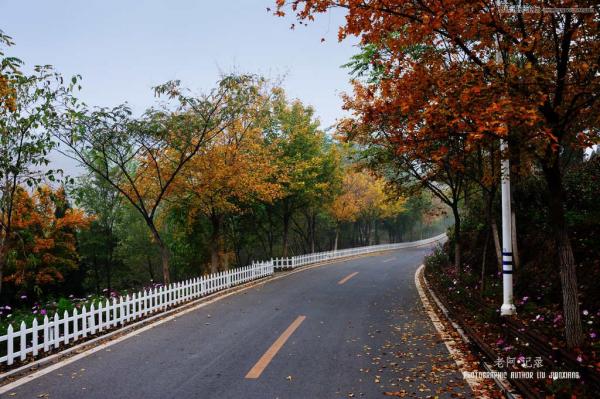 Photoshop霧天風景的后期快速調整