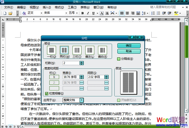 在Word2003文檔中怎么分欄