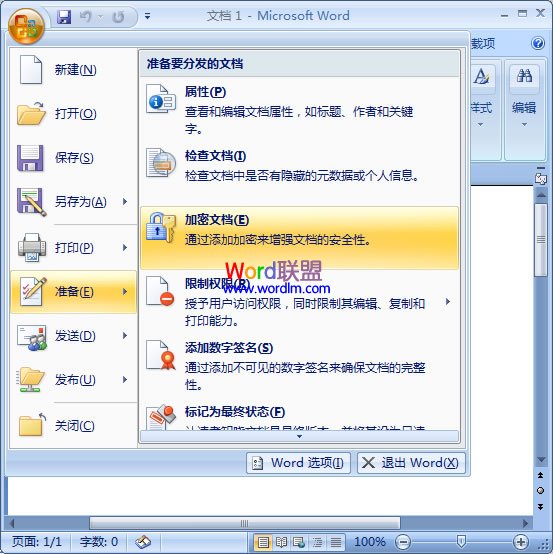 如何給Word文檔加密 Word2003/2007/2010各版本加密攻略