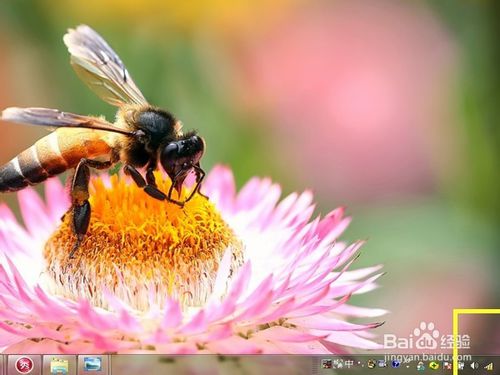 電腦有線連接路由器顯示感嘆號無法上網怎么辦