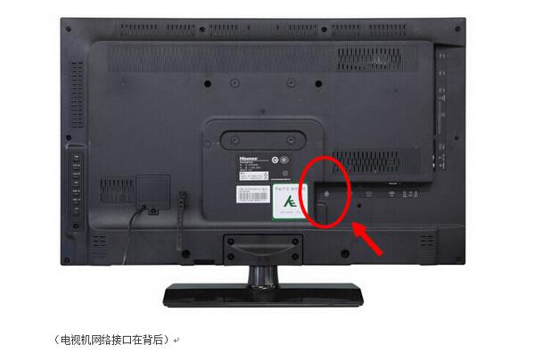 一根網線電腦和電視怎么共用上網？機頂盒跟路由器怎么設置連接？