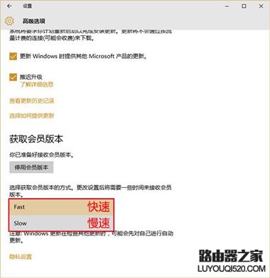 Win10預覽版怎么升級 Win10預覽版升級方法