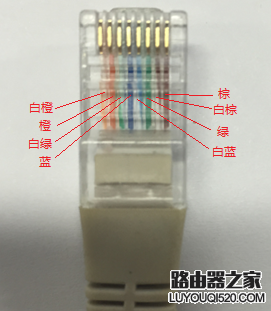 如何正確的查看網線線序？