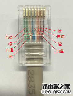 如何正確的查看網線線序？